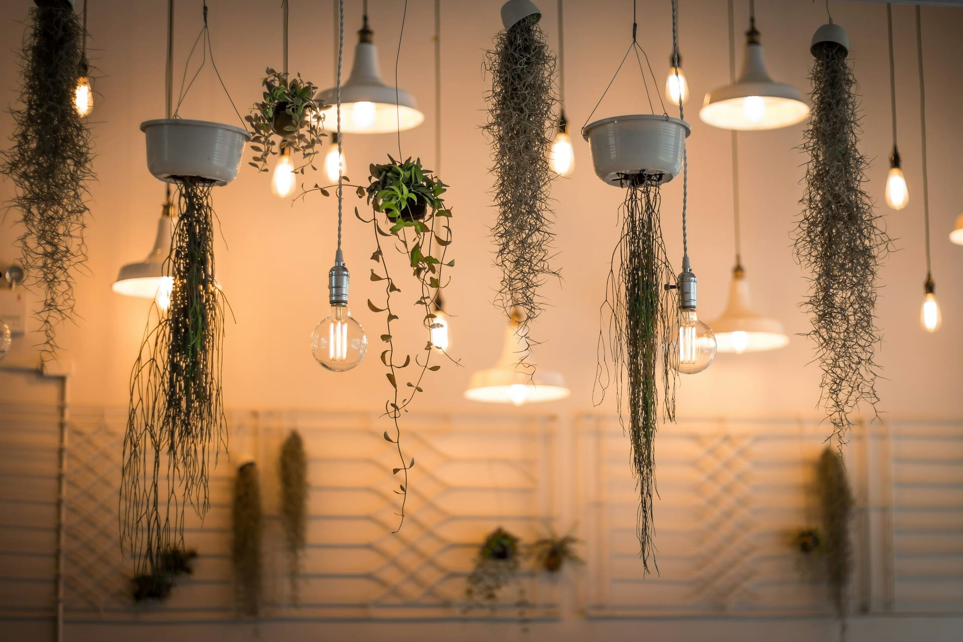 Electrical installation imagery — interior lighting design